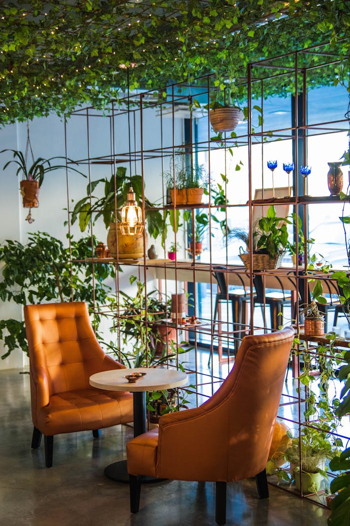 about-03 Inviting café corner with lush plants and cozy seating, perfect for relaxation.